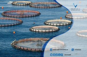 دراسة جدوى مشروع مزرعة أسماك باستخدام تقنيات الاستزراع المائي